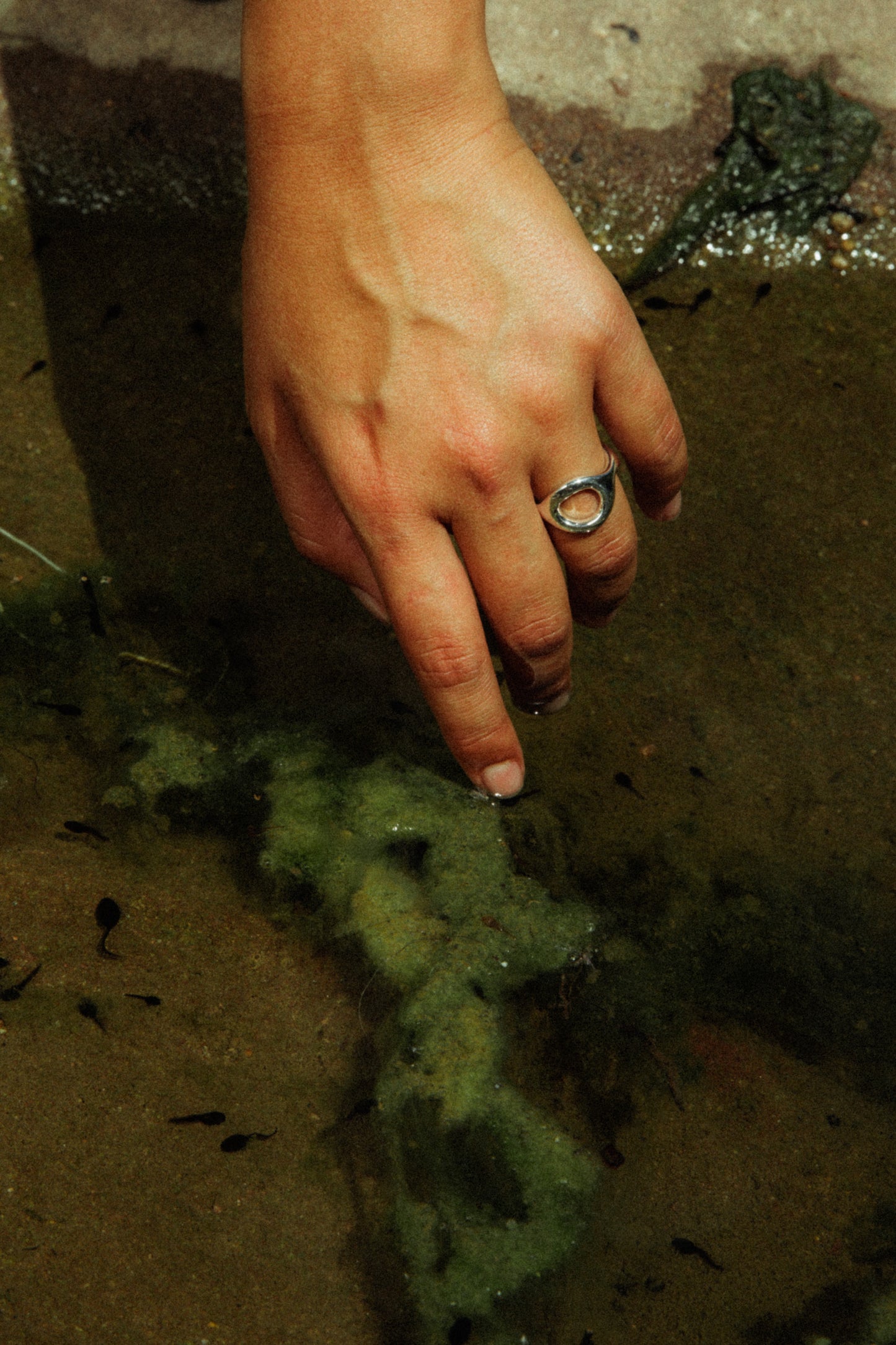 Portals Ring