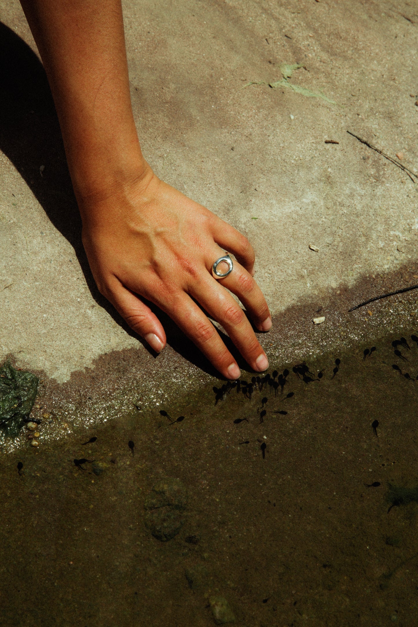 Portals Ring