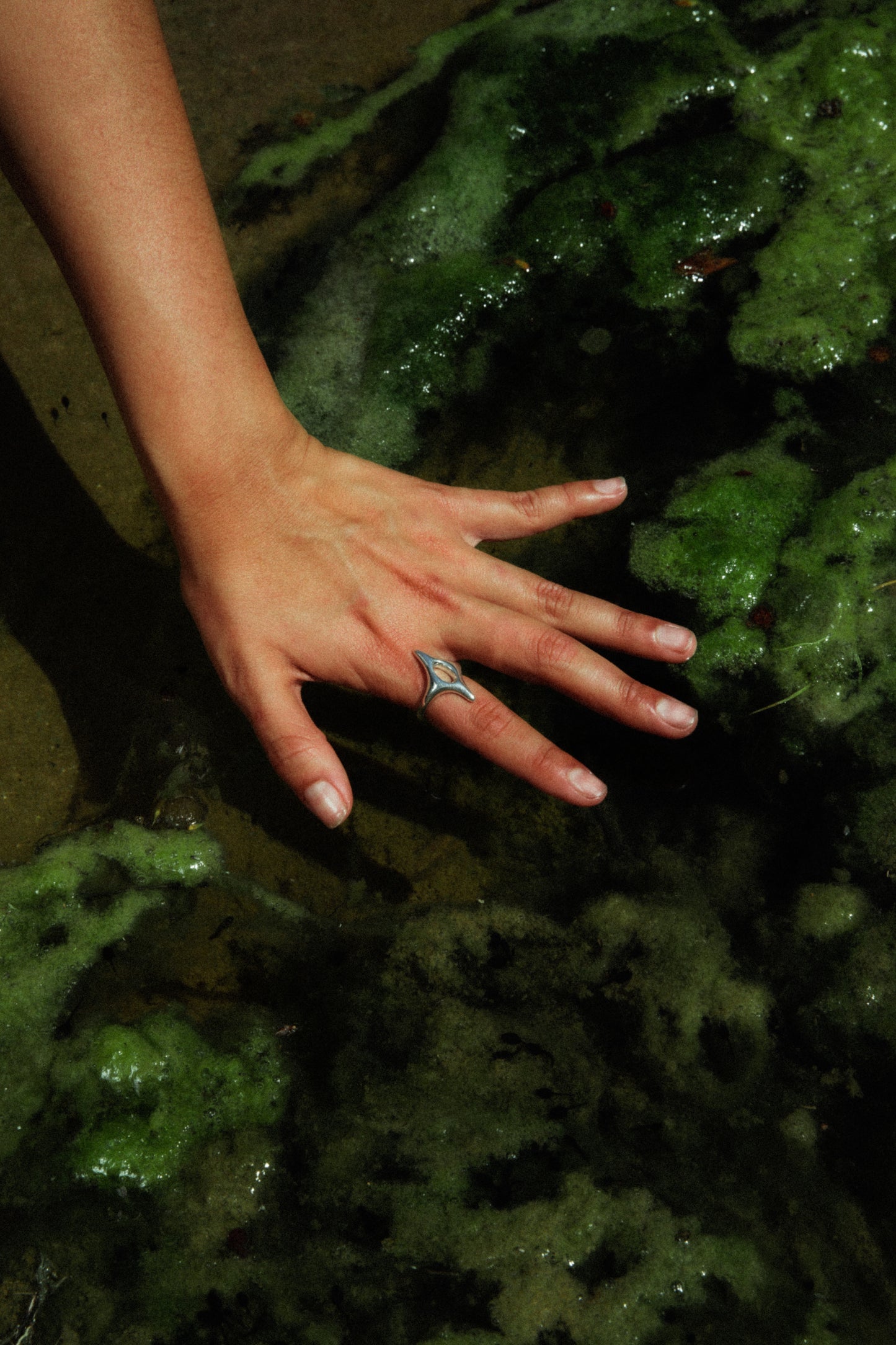 Adivina Ring