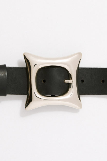 Toro Belt